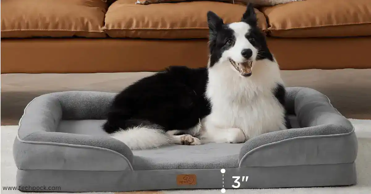 best couch for dogs bedsure orthopedic dog Bed Review